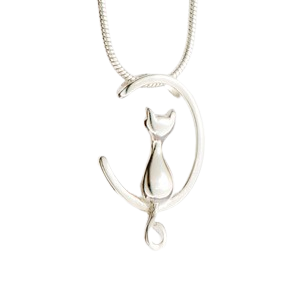 Necklace for cat ashes deals