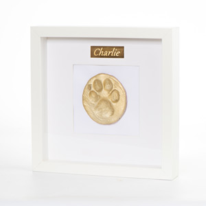 Paw Print Memory Frame