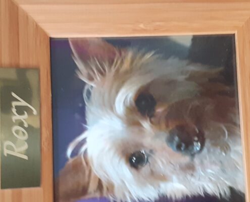 Roxy