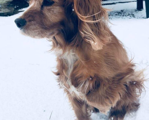 Mindy