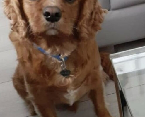 Charlie