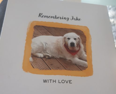 Jake