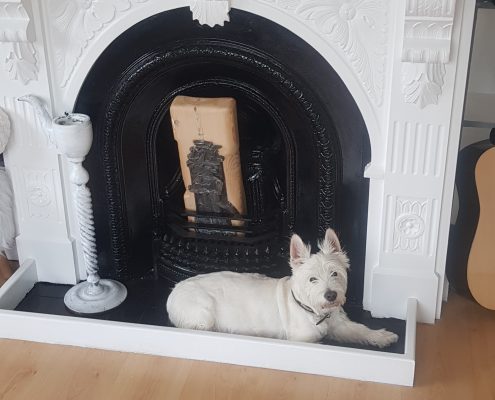 Pawprints cremation pet gallery