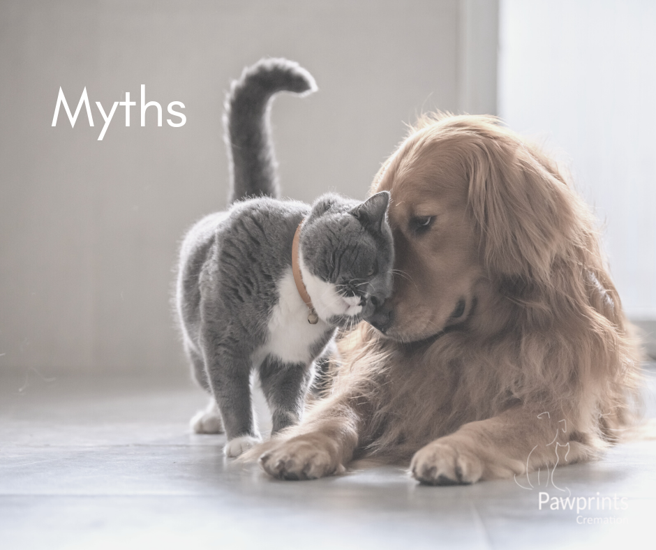 Read more about the article Myths