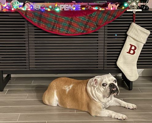 pet memorial gallery