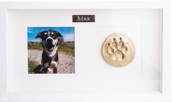 pet memorial frame